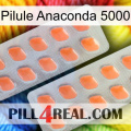 Anaconda 5000 Pill 27